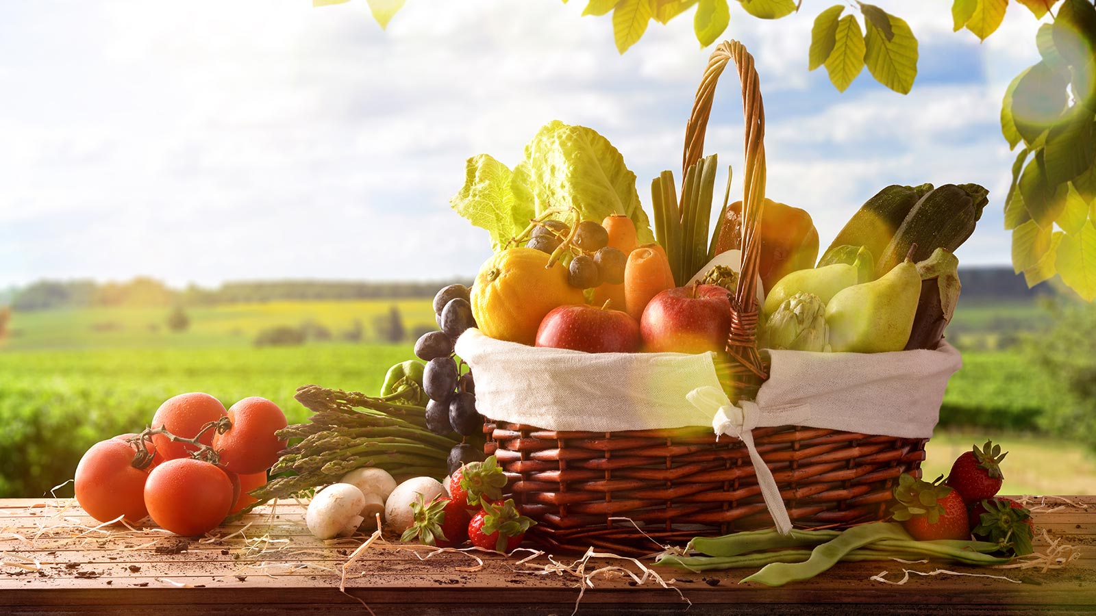 Por una agricultura más sostenible